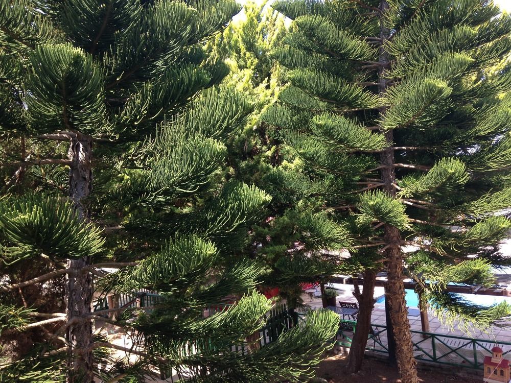 Anastasia Holiday Apartments Klorakas Bagian luar foto
